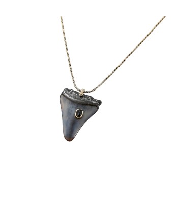 SHARK Collier Dent de Requin fossilisée sertie saphir, chaine Argent ou dorée Or patiné, Bélière Diamant Les magasins à Paris et en Île-de-France