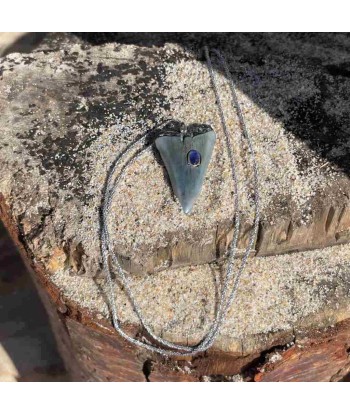 SHARK Collier Dent de Requin fossilisée sertie saphir, chaine Argent ou dorée Or patiné, Bélière Diamant Les magasins à Paris et en Île-de-France