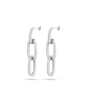 Boucles d'oreilles Éclat d'Argent l'évolution des habitudes 